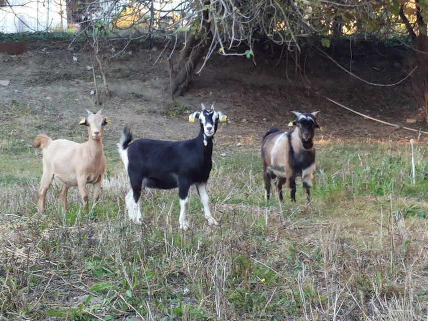 Agriturismo Poponi Βίλα Τόντι Εξωτερικό φωτογραφία